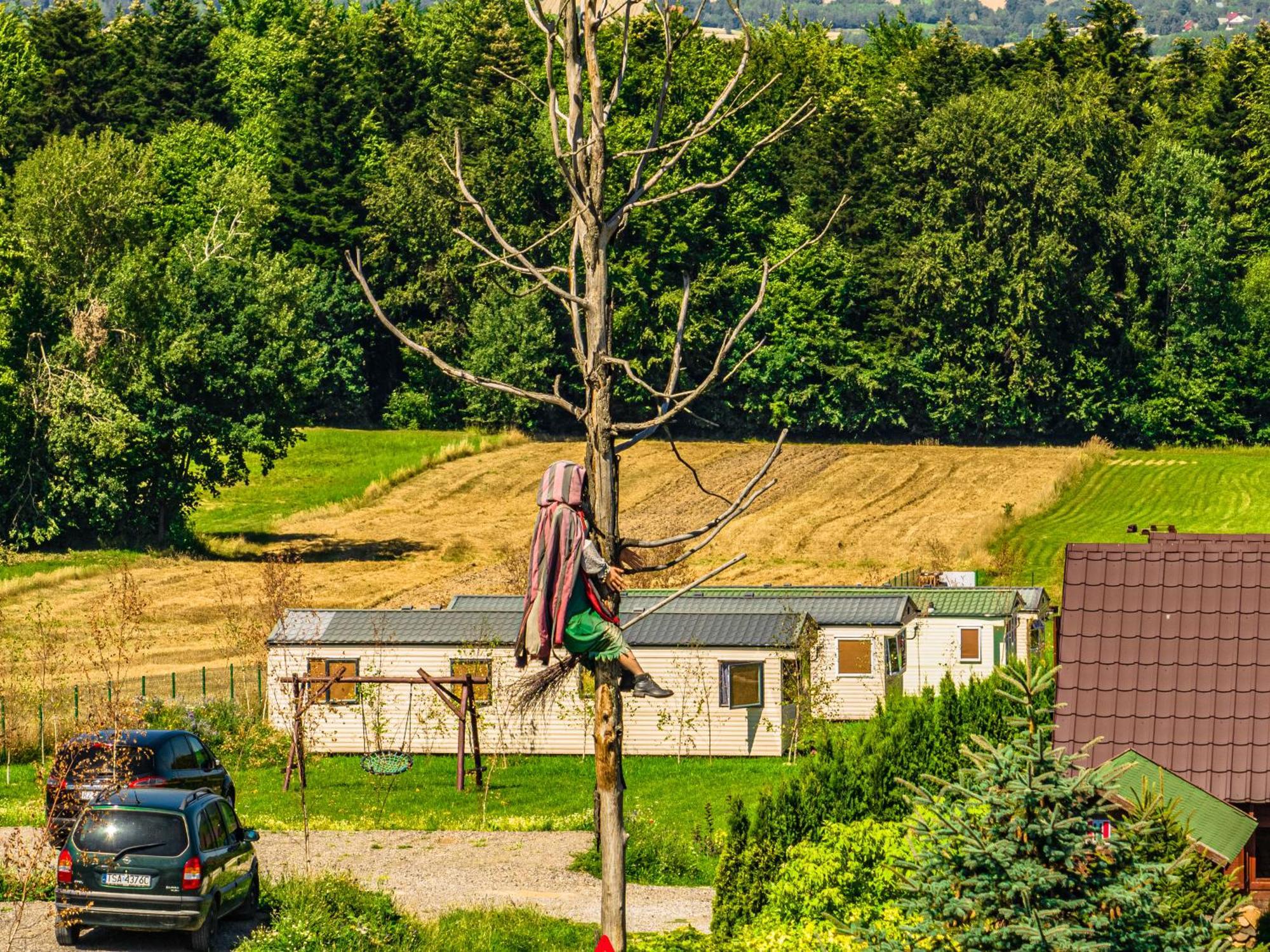 Siedlisko Carownica Family & Wellness Villa Lechów Dış mekan fotoğraf